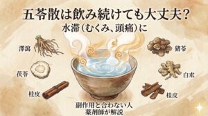 和紙風の背景に、漢方薬「五苓散（ごれいさん）」に関する解説テキストとイラストが配置された画像。中央には水が入り、渦巻き模様の金色や茶色の湯気が立つ碗。碗の上部には大きなテキストで「五苓散は飲み続けても大丈夫？」、その下に「水滞（むくみ、頭痛）に」。碗の周囲には6つの生薬のイラストとラベルが対称に配置されている。左側は「澤瀉（たくしゃ）」、「茯苓（ぶくりょう）」、「桂皮（けいひ）」。右側は「猪苓（ちょれい）」、「白朮（びゃくじゅつ）」、「桂皮（けいひ）」。下部には「副作用と合わない人」、「薬剤師が解説」というテキスト。