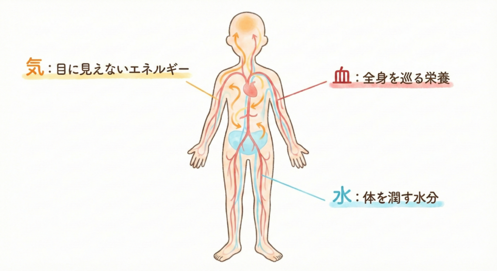 漢方の基礎概念である「気・血・水（き・けつ・すい）」が体内を巡る様子を表した図解イラスト。気（エネルギー）、血（栄養）、水（潤い）の3要素がバランスよく流れている人体図。