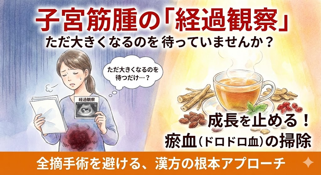 子宮筋腫の「経過観察」でただ大きくなるのを待っている不安な女性と、全摘手術を避けて瘀血（ドロドロ血）を掃除し成長を止める漢方アプローチを提案する記事サムネイル