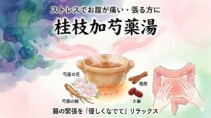 「ストレスでお腹が痛い・張る方に」向けた漢方薬「桂枝加芍薬湯（けいしかしゃくやくとう）」のアイキャッチ画像。ストレスによる硬い緊張を、漢方の優しい力でフワッと解きほぐす様子を水彩画風のイラストで表現。芍薬（シャクヤク）や桂皮（シナモン）などの生薬と、お腹をいたわる様子が描かれています。