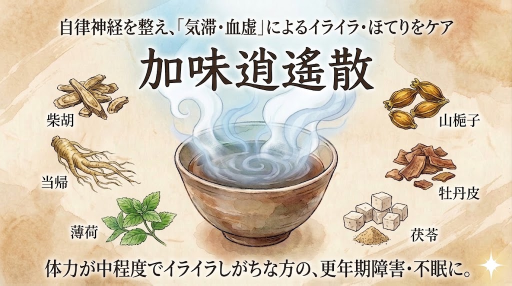 自律神経の乱れや更年期障害の悩みに向けた漢方薬「加味逍遙散」の解説サムネイル画像。上部には「自律神経を整え、『気滞・血虚』によるイライラ・ほてりをケア」というキャッチコピーが記載されています。中央には温かい湯気が渦を巻いて立ち上る和風の器と、大きな毛筆体で「加味逍遙散」の文字が配置されています。器の周囲には、構成する代表的な6種類の生薬（柴胡、当帰、薄荷、山梔子、牡丹皮、茯苓）の水彩画イラストが添えられています。下部には「体力が中程度でイライラしがちな方の、更年期障害・不眠に。」というテキストが記載されています。