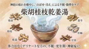 和紙のような質感の背景に、和風水彩画調で描かれた漢方薬「柴胡桂枝乾姜湯（さいこけいしかんきょうとう）」の解説イラスト。上部に「神経の疲れを癒やし、「のぼせ・冷え」による不眠・動悸をケア」、中央に大きな毛筆体で「柴胡桂枝乾姜湯」の文字。中央には湯気の立つ器があり、その周囲を6種類の構成生薬のイラストが囲んでいる。左側上から「柴胡（さいこ）」「桂枝（けいし）」「乾姜（かんきょう）」、右側上から「黄芩（おうごん）」「牡蛎（ぼれい）」「甘草（かんぞう）」とそれぞれの生薬名が記載されている。下部には「体力がなくデリケートな方の、不眠・更年期・神経症に。」のテキスト。右下に小さな光の星のアクセントがある。