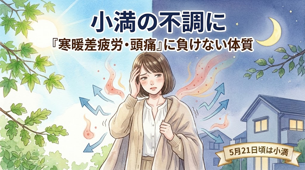 小満の養生ブログ記事サムネイル。背景が垂直に分割され、左半分は「強い日差しの昼」、右半分は「少し薄暗い朝晩」を描く。中央の若い日本人女性（短い茶色の髪、ライトベージュのカレンディガン）が、頬に手を当てて少し困った表情で shivering（身震い）し、片手でブランケットを持ちながら、もう片方の手は脱ごうとして、体温調節に苦労している。彼女の周囲には Managed imbalance（管理された不調）を示すほのかな赤いオーラが漂う。「小満の不調に」「『寒暖差疲労・頭痛』に負けない体質」「5月21日頃は小満」という文字。水彩イラスト。