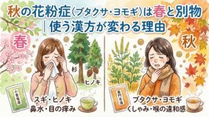 「秋の花粉症（ブタクサ・ヨモギ）は春と別物｜使う漢方が変わる理由」というタイトルサムネイル画像。画面中央で左右に分割され、春と秋の花粉症の違いを比較しています。 左側は「春」のセクション（ピンクの文字）。桜やスギ、ヒノキの木を背景に、鼻をかみ目をこする女性のイラストがあります。「スギ・ヒノキ」「鼻水・目の痒み」というテキストと、漢方薬「小青竜湯」のパッケージ、緑茶が描かれています。 右側は「秋」のセクション（オレンジの文字）。紅葉やブタクサ、ヨモギの植物を背景に、喉を押さえて咳き込む女性のイラストがあります。「ブタクサ・ヨモギ」「くしゃみ・喉の違和感」というテキストと、漢方薬「麦門冬湯」のパッケージ、茶色いお茶が描かれています。 季節によって原因植物と主な症状が異なり、それに伴い適した漢方薬も変わることを視覚的にわかりやすく伝えています。