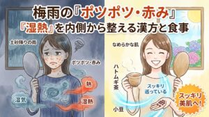 梅雨の肌トラブル改善をテーマにしたBefore/After形式のサムネイル画像。優しい手書き風の水彩イラスト。 画面上部には「梅雨の『ポツポツ・赤み』」「『湿熱』を内側から整える漢方と食事」というテキストが配置されている。 画面左側の「Before」は、窓の外が土砂降りの雨。女性が辛そうな表情で鏡を見て肌の赤みを気にしており、体には「湿熱」を表す青と赤のモヤがかかっている。 画面右側の「After」は、窓の外に晴れ間と紫陽花。同じ女性が笑顔でなめらかな肌を鏡で見つめ、手にはハトムギ茶と小豆を持っている。体の中はスッキリと巡っている様子が描かれ、右下には「スッキリ美肌へ!」というテキストが配置されている。