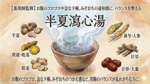 和紙のような質感の背景に、漢方薬「半夏瀉心湯」（はんげしゃしんとう）の説明イラスト。 中央には湯気が立つ渦を巻いた薬湯が入った器が置かれ、その周囲に構成生薬のイラストが名称とともに配置されている。上部には「【薬剤師監修】お腹のゴロゴロや急な下痢、みぞおちの違和感に。バランスを整える」というテキスト、中央上部には大きな筆文字で「半夏瀉心湯」と書かれている。 周囲の生薬は、左側に半夏（はんげ）、黄連・乾姜（おうれん・かんきょう）、乾姜（かんきょう）、右側に黄芩・人参（おうごん・にんじん）、甘草（かんぞう）、甘草・大棗（かんぞう・たいそう）が描かれている。 下部には「お腹のゴロゴロ、急な下痢、みぞおちのつかえ感など、胃腸のバランスが乱れがちな方に。」という説明テキストが記載されている。