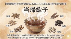 和紙風の質感のある背景に、漢方薬「当帰飲子（とうきいんし）」を紹介する伝統的なスタイルのイラスト解説図。 上部には「【薬剤師監修】カサカサ乾燥と粉ふき、強いムズムズ感に。肌に潤いを届ける漢方薬」とのテキストがあります。 中央には大きなタイトル「当帰飲子（とうきいんし）」と、湯気の立つお椀の中に「OK」のサインをした手が浮かぶイラストが描かれています。 その周囲を囲むように、左から時計回りに「防風（ぼうふう）」、「芍薬（しゃくやく）」、「当帰（とうき）」、「荊芥（けいがい）」、「地黄（じおう）」、「川芎（せんきゅう）」の6つの生薬のイラストと名前のラベルが配置されています。 下部には適応症の詳細説明として「体力中等度以下で、皮膚が乾燥して色つやが悪く、ときにかゆみがある方の、カサカサ乾燥、粉ふき、強いかゆみ、慢性湿疹（湿潤のないもの）などに。」というテキストが記載されています。