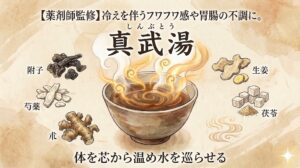 和紙風の背景に描かれた漢方薬「真武湯（しんぶとう）」の解説サムネイル。上部には「【薬剤師監修】冷えを伴うフワフワ感や胃腸の不調に。」というテキスト。中央には湯気の立つお椀があり、その周囲に「附子」「芍薬」「朮」「生姜」「茯苓」の5つの生薬のイラストとラベルが配置されている。下部には「体を芯から温め水を巡らせる」というテキスト。右下にはキラキラした光の装飾がある。