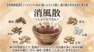 和紙のような質感のある背景に、漢方薬「消風散（しょうふうさん）」を解説するイラスト。上部には「【薬剤師監修】ジュクジュク・赤み・強いムズムズ感に。肌の熱と水分を流す漢方薬」とのテキスト。中央には大きな「消風散（しょうふうさん）」というタイトルと、湯気の立つ漢方薬が入ったbowl（お椀）が描かれ、その周囲を囲むように、左から反時計回りに「蝉退（せんたい）」「苦参（くじん）」「知母（ちも）」、右から時計回りに「蒼朮（そうじゅつ）」「石膏（せっこう）」「甘草（かんぞう）」の6つの生薬のイラストと名前が配置されている。下部には適応症の詳細説明として「体力中等度以上で、患部がジュクジュクと浸出液が多く、赤みが強くかゆみが激しい方の、湿疹・皮膚炎、じんましん、あせもなどに。」と書かれている。