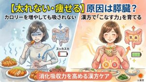「太れない」「食べているのに痩せる」原因である膵臓や胃腸の機能低下と、消化吸収力を高める漢方ケアを対比した図解イラスト。左側は高カロリーな食事でも栄養が吸収されず胃腸が弱っている様子、右側は消化に良い食事で「気」や「血」が作られ、栄養が吸収されている様子を描いています。