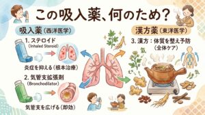 喘息治療における西洋医学の吸入薬(ステロイド・気管支拡張剤)と東洋医学の漢方薬(全体ケア)の役割を比較した水彩画風インフォグラフィック。メインタイトルは「この吸入薬、何のため?」。左側はステロイド(炎症を抑える・根本治療)と気管支拡張剤(気管支を広げる・即効)の吸入器。右側は生薬や土鍋、「氣」の人体図で「3. 漢方:体質を整え予防 (全体ケア)」を説明。中央の肺を囲んでそれぞれの作用が示されている。