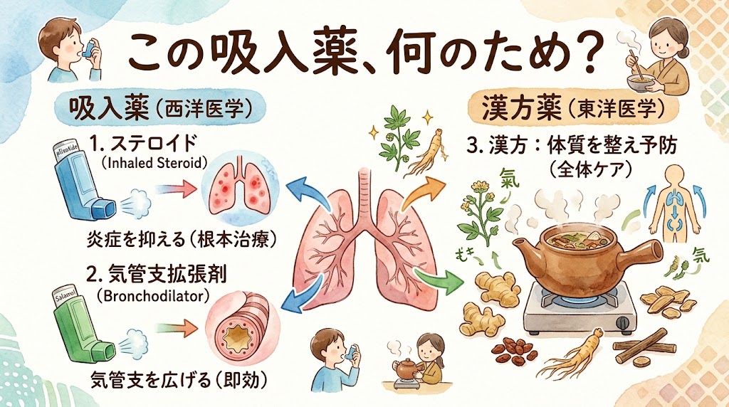 喘息治療における西洋医学の吸入薬(ステロイド・気管支拡張剤)と東洋医学の漢方薬(全体ケア)の役割を比較した水彩画風インフォグラフィック。メインタイトルは「この吸入薬、何のため?」。左側はステロイド(炎症を抑える・根本治療)と気管支拡張剤(気管支を広げる・即効)の吸入器。右側は生薬や土鍋、「氣」の人体図で「3. 漢方:体質を整え予防 (全体ケア)」を説明。中央の肺を囲んでそれぞれの作用が示されている。