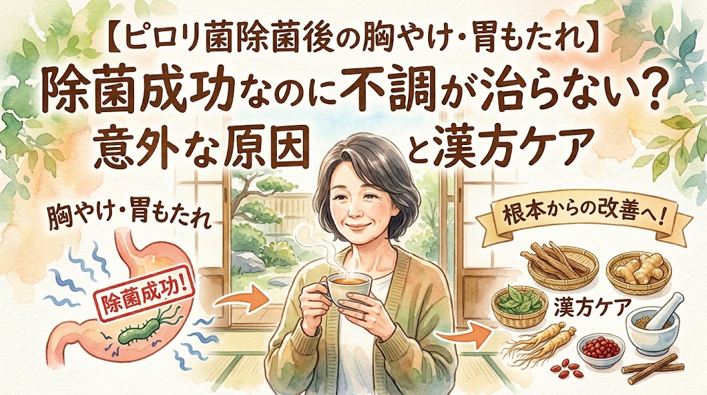 水彩画タッチのサムネイル画像。タイトルは「【ピロリ菌除菌後の胸やけ・胃もたれ】除菌成功なのに不調が治らない?意外な原因と漢方ケア」。中央に和室で温かいお茶を飲む笑顔の女性。左側にピロリ菌除菌に成功した胃のイラスト、右側に根本改善を促す生薬が配置されている。