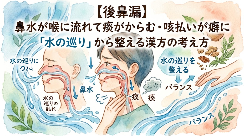 「【後鼻漏】鼻水が喉に流れて痰がからむ・咳払いが癖に——『水の巡り』から整える漢方の考え方」というタイトルが書かれた水彩画風のサムネイル画像。左側には鼻から喉へ鼻水が流れ落ちる「水の巡りの乱れ」を示す断面図、中央には喉に違和感を感じて咳払いをする人物、右側には漢方の生薬とともに「水の巡りを整える」スムーズな水流が描かれています。