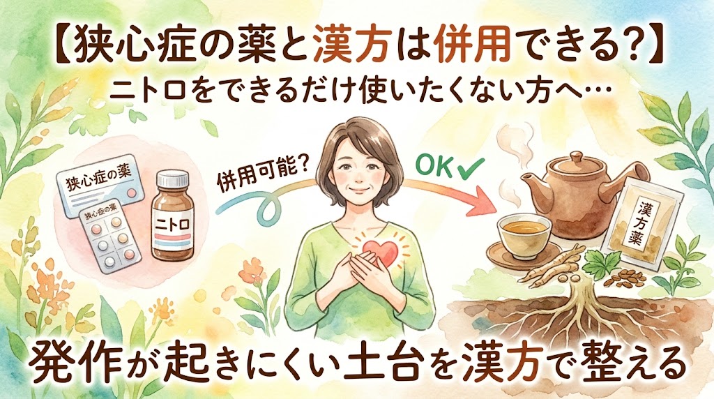 水彩画タッチのサムネイル画像。左側には「狭心症の薬」として錠剤のシートと「ニトロ」と書かれた瓶が描かれています。そこから「併用可能?」という矢印が伸び、中央には胸に手を当てて安心した笑顔を浮かべる女性が描かれています。さらに「OK」というチェックマークとともに右側へ矢印が伸びており、急須、お茶、漢方薬のパッケージ、生薬、そして土にしっかりと根を張る植物のイラストが描かれています。テキストには「【狭心症の薬と漢方は併用できる?】」「ニトロをできるだけ使いたくない方へ…」「発作が起きにくい土台を漢方で整える」と書かれています。