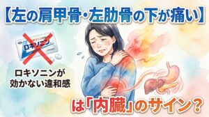 水彩画風の日本語サムネイル。上部のメインタイトルは「左の肩甲骨・左肋骨の下が痛い」と翻訳。青いセーターを着た日本人女性が苦悶の表情で左の腹部と肩周辺を押さえ、ストレスの汗をかいている。彼女の左隣には大きな赤い「×」印が付いた「ロキソニン」の薬パックがあり、その下の日本語テキストは「ロキソニンが効かない違和感」と翻訳。右側には内臓（肝臓、胃、膵臓）のイラストがあり、女性の胴体からこれらの内臓に向かって痛みの閃光と渦巻くエネルギー線が伸びている。下部の質問テキストは「は『内臓』のサイン？」と翻訳。