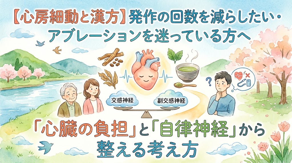 「【心房細動と漢方】発作の回数を減らしたい・アブレーションを迷っている方へ——『心臓の負担』と『自律神経』から整える考え方」という見出しが書かれたYouTubeサムネイル画像。水彩画風の優しいタッチで、中央には穏やかな表情の心臓のイラストと、交感神経・副交感神経のバランスを表す天秤、生薬や温かいお茶が描かれています。右側には治療法について悩んでいる様子の男性、左側には自然の風景の中で穏やかに過ごす男女の姿が配置され、漢方によって心と体を整えるイメージが表現されています。