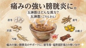 和風水彩画スタイルで描かれた、漢方薬「五淋散」の解説用サムネイル。古い紙のテクスチャの背景。上部に大きな文字で「痛みの強い膀胱炎に。」、その下に「五淋散はどんな漢方?」のテキスト。立ち上る湯気と複雑な渦巻き模様のある伝統的な陶器の薬碗が中央にあり、右下に痛みを示す小さな稲妻マークの付いた赤い膀胱のアイコンが配置されている。碗を囲んで、茯苓、沢瀉、当帰、黄芩、山梔子、木通の6つの生薬のイラストと名前が配置されている。下部には「痛みの強い膀胱炎のサポートに。猪苓湯・竜胆瀉肝湯との使い分け」と記されている。