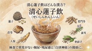 和風水彩画スタイルで描かれた、漢方薬「清心蓮子飲」の解説用サムネイル。古い紙のテクスチャの背景。前回のサムネイルと共通の薬碗を使用。上部に「清心蓮子飲はどんな漢方?」、その下に「清心蓮子飲(せいしんれんしいん)」のテキスト。立ち上る湯気と複雑な渦巻き模様のある伝統的な陶器の薬碗が中央にある。碗を囲んで、蓮子、茯苓、人参、麦門冬、黄芩、車前子の6つの生薬のイラストと名前が配置されている。下部には「検査で異常がない頻尿・残尿感と『自律神経』の関係に。」と記されている。