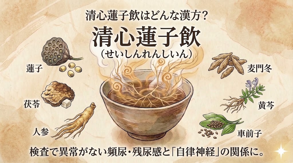 和風水彩画スタイルで描かれた、漢方薬「清心蓮子飲」の解説用サムネイル。古い紙のテクスチャの背景。前回のサムネイルと共通の薬碗を使用。上部に「清心蓮子飲はどんな漢方？」、その下に「清心蓮子飲（せいしんれんしいん）」のテキスト。立ち上る湯気と複雑な渦巻き模様のある伝統的な陶器の薬碗が中央にある。碗を囲んで、蓮子、茯苓、人参、麦門冬、黄芩、車前子の6つの生薬のイラストと名前が配置されている。下部には「検査で異常がない頻尿・残尿感と『自律神経』の関係に。」と記されている。