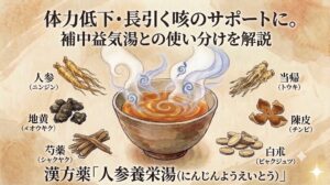 和紙のような質感のある背景に、漢方薬「人参養栄湯（にんじんようえいとう）」を紹介するイラスト解説図。上部には「体力低下・長引く咳のサポートに。補中益気湯との使い分けを解説」とのテキスト。中央には青白く渦巻く湯気が立つお椀が描かれている。お椀を囲むように、左側に人参（ニンジン）、地黄（ジオウ）、芍薬（シャクヤク）、右側に当帰（トウキ）、陳皮（チンピ）、白朮（ビャクジュツ）の6つの生薬のイラストと名前が配置されている。下部には「漢方薬『人参養栄湯（にんじんようえいとう）』」と書かれて