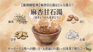 和紙のような温かみのある背景に、水彩画風の優しいタッチで描かれた、漢方薬「麻杏甘石湯(まきょうかんせきとう)」の解説インフォグラフィックです。 上部には「【薬剤師監修】麻杏甘石湯はどんな漢方?」という見出しがあり、その下に大きく「麻杏甘石湯(まきょうかんせきとう)」と書かれています。 中央には、様式化された渦巻き状の湯気が立ち上る、濃い茶色の漢方薬が入った和風の茶碗が描かれています。茶碗の周りには、この漢方薬を構成する4つの生薬のイラストが、それぞれの名称とともに配置されています。 左上:乾燥した細い枝状の植物「麻黄(まおう)」 右上:殻付きと殻無しの扁平な種子「杏仁(きょうにん)」 左下:薄くスライスされた根「甘草(かんぞう)」 右下:白く結晶状の塊「石膏(せっこう)」 下部には、「ゼーゼーする咳への使い方・五虎湯との違い・日本茶で飲むコツ」というテーマが並んでいます。その右下隅には、緑茶が入った小さな湯呑みと、隣に2枚の茶葉が描かれています。