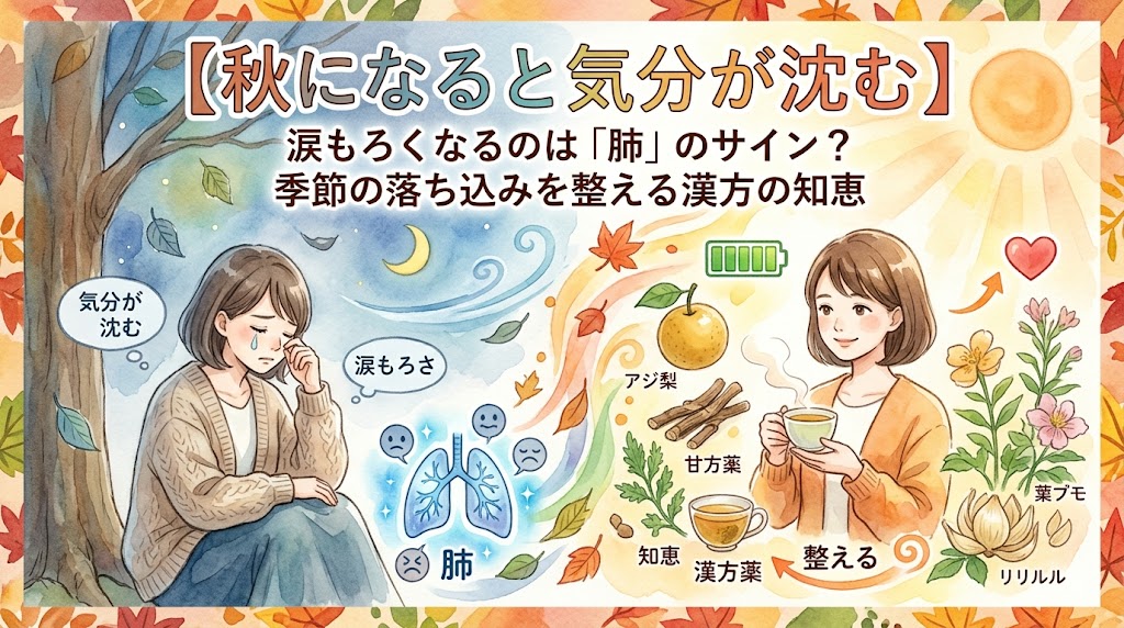 上部には「【秋になると気分が沈む】涙もろくなるのは『肺』のサイン?季節の落ち込みを整える漢方の知恵」という大きなタイトルテキストが配置されています。 画面は左右で対比構造になっています。 左側は冷たい風が吹く夜空の下、木に寄りかかり涙ぐむ女性が描かれており、「気分が沈む」「涙もろさ」というテキストとともに、青く冷えて不調を訴える「肺」のイラストが添えられています。 右側は明るい太陽の光に包まれ、満タンのバッテリーマークやハートが浮かぶ中、穏やかな笑顔で温かい漢方茶を飲む女性の姿が描かれています。周囲には、梨や生薬、植物など、心身を整える漢方ケアのアイテムが散りばめられており、不調から回復した様子が表現されています。