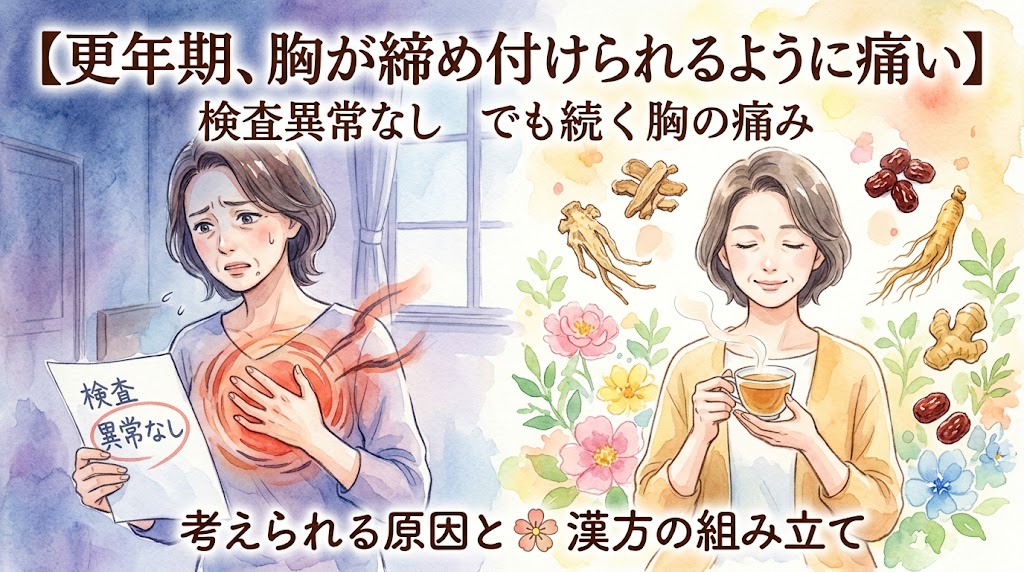 更年期の女性の悩みと漢方による解決をテーマにした、水彩画風のサムネイル画像です。 画面は左右に分かれた対比構造になっています。左側は薄暗い青色の背景で、更年期世代と思われる女性が苦しそうに顔をしかめ、胸を両手で締め付けられるような痛み(赤い渦巻きとギザギザのマーク)に耐えています。彼女は『検査異常なし』と書かれた書類を手に持ち、困惑しています。背景の窓からは雨が降っており、不安な心情を表現しています。上部には「【更年期、胸が締め付けられるように痛い】検査異常なしでも続く胸の痛み」と記載されています。 右側は明るい暖色の背景で、同じ女性が穏やかな笑顔で温かい漢方茶を飲んでいます。彼女の周囲は、芍薬(しゃくやく)、ナツメ、ショウガ、高麗人参などの生薬や美しい花々のイラストが明るく取り囲んでおり、癒やしと希望を表現しています。窓からは光が差し込んでいます。下部には花のアイコンと共に「考えられる原因と漢方の組み立て」と記載されています。 更年期の「検査異常なし」の胸の痛みに対し、漢方薬が原因へのアプローチと癒やしをもたらすことを、悩みから笑顔への変化で視覚的に伝えています。