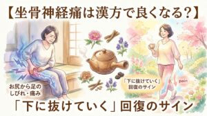 水彩画タッチのサムネイル画像。左側には縁側に座り、お尻から足先に向かって青い稲妻のようなしびれや痛みを感じて辛そうな女性が描かれています。中央には急須と生薬のイラスト。右側には、明るい花畑を笑顔で軽やかに歩く女性が描かれ、足先に向かって痛みが矢印とともに抜けていく様子が表現されています。画像内のテキストには「【坐骨神経痛は漢方で良くなる?】」「お尻から足のしびれ・痛み」「『下に抜けていく』回復のサイン」と書かれています。