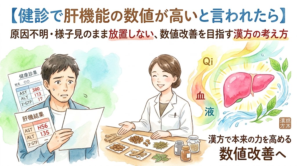 【健診で肝機能の数値が高いと言われたら】原因不明・様子見のまま放置しない、数値改善を目指す漢方の考え方。健康診断の結果を見て不安そうな男性と、漢方を提案する薬剤師、肝臓と気・血・液の巡りを示す水彩画イラスト。