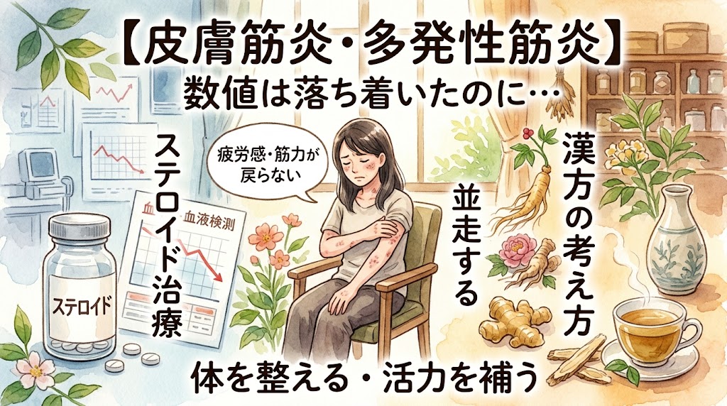 「【皮膚筋炎・多発性筋炎】数値は落ち着いたのに… ステロイド治療と並走する漢方の考え方」などのタイトル文字。ステロイド薬や下がりきった検査結果のグラフとともに疲労感に悩む女性に対し、体を整え活力を補うイメージとして漢方薬や高麗人参などの生薬が水彩画風に描かれています。