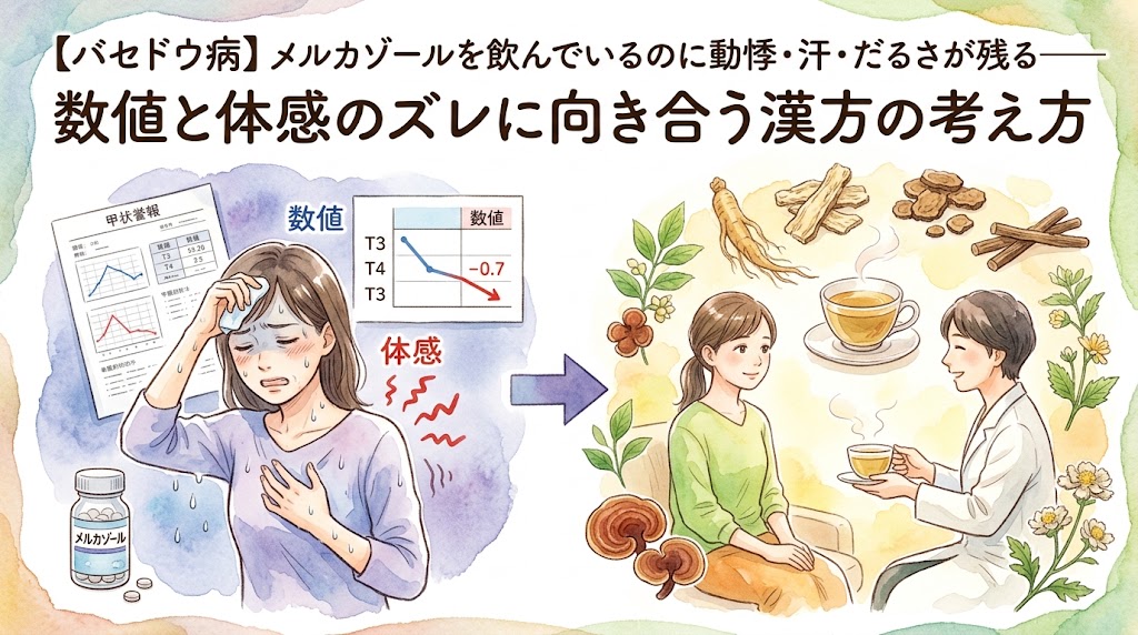 水彩画風のイラスト。左側には、汗を拭い胸を押さえて苦しむ女性と、薬瓶「メルカゾール」、そして血液検査の「数値」を示すグラフが描かれている。グラフは下降しているが、女性の「体感」は赤い波線で辛さが表現されている。中央の矢印は、穏やかに薬剤師から漢方薬を受け取る女性へと向かう。背景には人参や霊芝などの生薬と、湯気の立つ漢方薬のカップが描かれている。トップのテキスト「【バセドウ病】メルカゾールを飲んでいるのに動悸・汗・だるさが残る——」と、大きなタイトルテキスト「数値と体感のズレに向き合う漢方の考え方」。バセドウ病の数値と症状のギャップと漢方のアプローチを示すサムネイル。