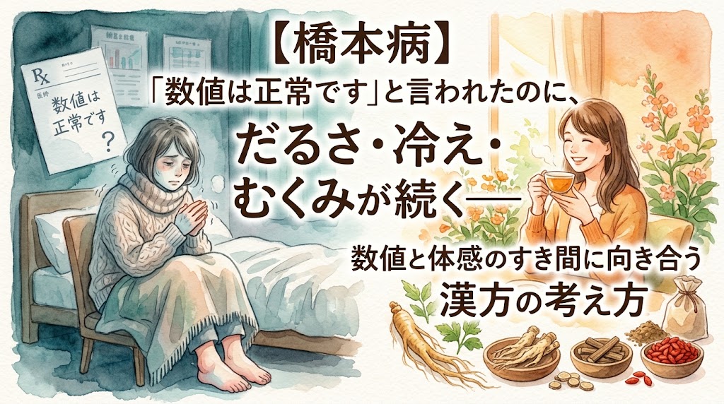 水彩画風のイラスト。左側は、暗い部屋でブランケットをかぶり、寒さに震えて青ざめる中年女性。壁には「数値は正常です?」と書かれた診断書がかかっている。右側は、明るい窓辺で笑顔で湯気の立つ漢方薬を飲む同じ女性。手前には人参、霊芝、クコの実などの生薬が並ぶ。トップのテキスト「【橋本病】」と「「数値は正常です」と言われたのに、」の下に、大きなテキスト「だるさ・冷え・むくみが続く——」。右下には「数値と体感のすき間に向き合う 漢方の考え方」のテキストが続く。橋本病の数値と症状のギャップと漢方のアプローチを示すサムネイル。