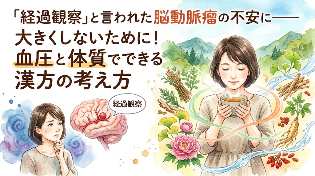 「『経過観察』と言われた脳動脈瘤の不安に——大きくしないために!血圧と体質でできる漢方の考え方」というタイトル文字。不安そうに悩む女性と脳動脈瘤のイメージ図に対し、温かいお茶を飲んでホッとしている女性の姿と、高麗人参や牡丹などの様々な漢方生薬が水彩画風の優しいタッチで描かれています。