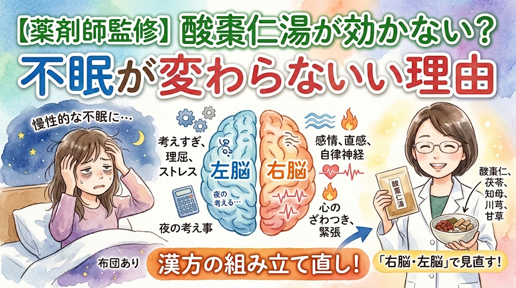 「【薬剤師監修】酸棗仁湯が効かない?不眠が変わらない理由」というタイトルのサムネイル画像。左側には「慢性的な不眠に…」と、布団の中で頭を抱え、眠れずに苦しんでいる女性のイラストが描かれています。中央には大きく脳のイラストがあり、青色の「左脳」には「考えすぎ、理屈、ストレス、夜の考え事」、オレンジ色の「右脳」には「感情、直感、自律神経、心のざわつき、緊張」という特徴がアイコンと共に示されています。右側には女性薬剤師が「酸棗仁湯」のパッケージと生薬(酸棗仁、茯苓、知母など)を持ち、下部には「漢方の組み立て直し!『右脳・左脳』で見直す!」と書かれています。全体的に水彩画風のタッチです。