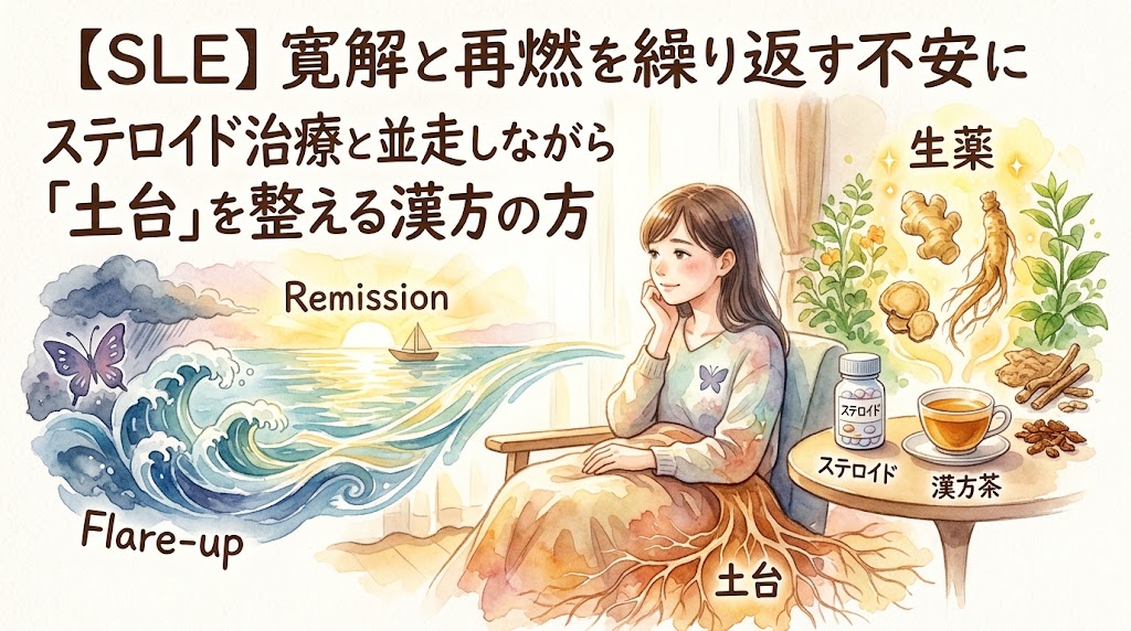 水彩画風のイラスト。左側には、穏やかな海に昇る朝日と「Remission」(寛解)のテキスト、そして荒波に舞う蝶と「Flare-up」(再燃)のテキストが描かれている。右側には、窓辺で穏やかな笑顔で座る女性がおり、彼女の体からは「土台」を象徴する根が張っている。彼女の前のテーブルには、薬瓶「ステロイド」とカップ「漢方茶」が置かれている。背景には人参や霊芝などの生薬と、テキスト「生薬」が描かれている。トップのテキスト「【SLE】寛解と再燃を繰り返す不安に」と「ステロイド治療と並走しながら」の下に、大きなテキスト「「土台」を整える漢方の方」。SLE治療における寛解・再燃の不安と漢方による土台作りのアプローチを示すサムネイル。