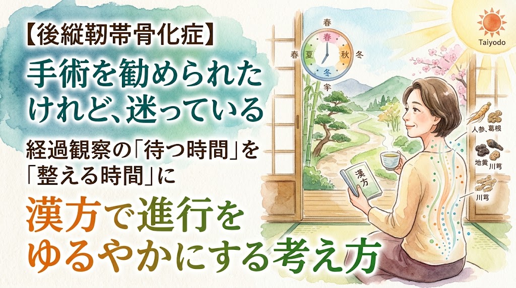 水彩画タッチのイラスト。左側には「【後縦靭帯骨化症】手術を勧められたけれど、迷っている 経過観察の『待つ時間』を『整える時間』に 漢方で進行をゆるやかにする考え方」という文字が大きく配置されています。右側には、窓辺で穏やかな表情で漢方茶を飲む女性が描かれ、その背骨に沿って優しくケアされるような光の粒が連なっています。背景には四季の移ろいを表す風景や季節が巡る時計盤が描かれて「待つ時間」を象徴し、周囲には人参や葛根などの漢方生薬が添えられています。
