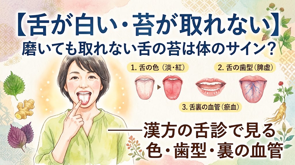漢方の「舌診」について解説するサムネイル。舌を見せる女性と、チェックポイント(舌の色、歯型、裏の血管)を示す3種類の舌のイラストが水彩画で描かれています。